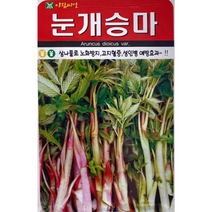 아람 눈개승마 삼나물씨앗 500립
