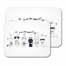 RT 규조토 발매트 논슬립패드+사포 포함 아임스페셜 M