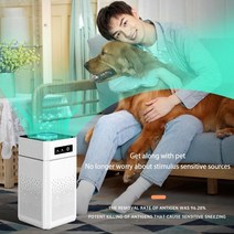공기 청정기 음이온 발생기 냄새 제거기 유해 헤파 필터 침실용, Spare HEPA Filter, 단일옵션