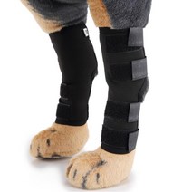 강아지 슬개골 다리 관절 보호대 보조기 M 잭러셀테리어 고양이 반려견 탈구예방 비글 웰시코기 지지대 샤페이 애견 십자인대 시바견 코카스파니엘, 1개, 블루