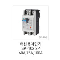 [서울산전주식회사] 산업용 배선용차단기 SK-102 2P 100A 5kA 차단기 MCCB 서울산전배선차단기