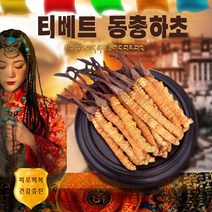 티베트 야생 동충하초 피로회복, 1g, 1개