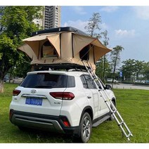 차량용 루프탑 원터치 확장 그늘막 차박 텐트 동계 쉘터 장박, 특대형 블랙 쉘케이스 + 그린 텐트