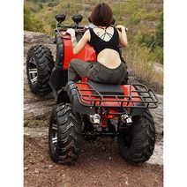 사륜 4륜 오토바이 125cc 버기카 짐운반 바이크, 빅불 패키지 8