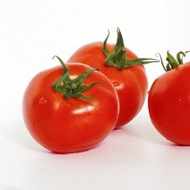 정성애찬 완숙찰토마토 5kg / 특-1번, 1개, 상세설명 참조