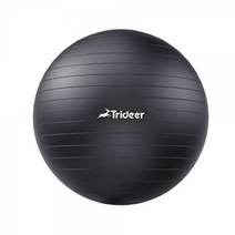 Trideer 요가볼 짐볼 헤비 듀티 펌프 포함 ‎블랙 L 58-65cm, 58-65cm  L