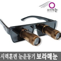 일반형 보라매눈 수정체 활성화 시력 훈련 눈운동기 시력보호 시력훈련 시력운동 눈 시력좋아지는법, 1개