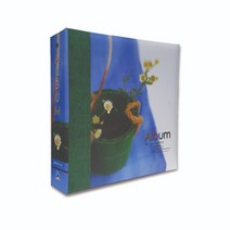 베스트원 꿈앨범 접착식 포켓 포토앨범 앨범, BO3004*6 플라워 걸