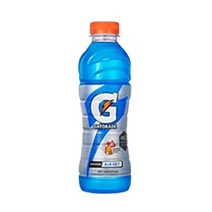 게토레이 블루볼트 펫, 500ml, 18개입