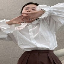 레이스 카라 단색 블라우스 셔츠