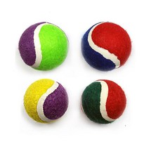 골든리트리버 공놀이 장난감 공 강아지장난감추천