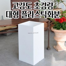프라스틱화분 사각무광 25X52CM 깊은 화분 화초 꽃 공 빈 긴 이쁜 예쁜 분갈이