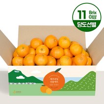 제주 중문농협 하우스 감귤 4.5kg (11Brix이상)