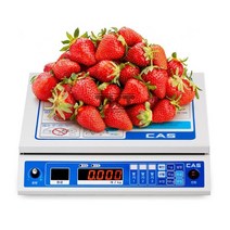 [CAS] FS PLUS-250S 딸기 선별기(15kg/1g단위)/음성