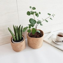 바보사랑 쥬트 로프 플랜터 3size.꾸미기 좋은날, 대