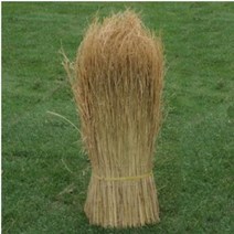 이엉(특) 70cm~80cmX10m 볏짚 바람막이 가마니 왕골 섬피 잠복소 월동 월동자재 조경 손질한 볏짚으로 만든 깔끔한 제품