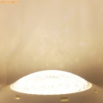 볼락집어등 수중집어등 led집어등 갈치집어등 집어등 24W 36W 수영장 Led 조명 AC/DC 12V RGB + 원격 컨트, 03 웜 화이트_01 12V 24W