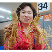 금산수삼시장 인삼즙 담금주 세척삼 오쿠홍삼용 난발삼 파지 효능 500g, 5-1. [세척안함] 4~5뿌리 500g