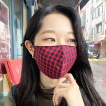 노팅힐샵 타탄체크 귀조절 마스크 필터교체형 면100% 체크패턴 방풍 방한 가을겨울용