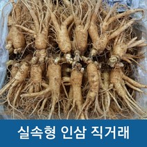 실속형 가정용5년근 인삼 350g 750g (오쿠용 홍삼용 실속인삼), 가정용난발삼 350g (8-10뿌리)