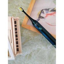 X3U 전동칫솔 Soushi 음파 전동 칫솔 셋트 부드러운, D2살균전동칫솔-런유바이