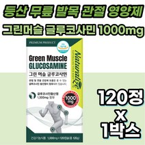 등산 무릎 발목 관절 영양제 글루코사민 강황 추출물 무릅 손마디 통증 연골 손 손목 팔목 보조제 노인 부모님 여성 관절관리 팔꿈치 팔뚝 50대 60대 건강 관절건강식품 손가락 뼈