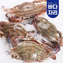 서해안 태안 꽃게, 국산 급랭 꽃게 600g내외