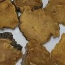 뽕상황버섯 건재 300g, 1개