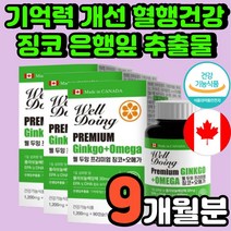 중고등학생 기억력 개선제 노인 뇌 시니어 뇌혈관 머리 좋아지는 중고생 혈관 70대 남자 혈행 레시친 징코 혈행개선제 50대 여자 오메가3 피쉬오일 진코 감퇴 기능 건강 추천 영양제