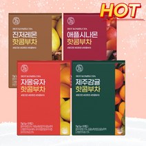힐스랩 핫콤부 4종 진저레몬 애플시나몬 자몽유자 제주감귤 핫콤부차 콤부티 5g x 15개입