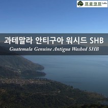 커피생두-과테말라 안티구아 워시드 SHB, 250g