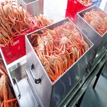 국내산 무한리필 홍게 3kg(10미~12미) 자숙 후 1.5kg~1.8kg [몸통수율 50%미만 다리수율 70%~80%] 당일작업 신선배송