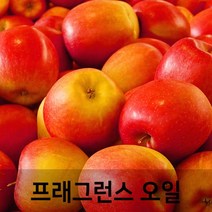 엔피솝 사과(Apple) 프래그런스오일 인공향 캔들 디퓨저 방향제 DIY 만들기, 100ml