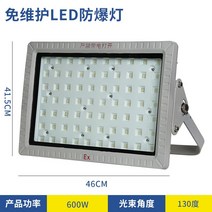 방폭등 조명 캠핑 초점등 주유소 창고 터널 가로등, LED 방폭 램프 600W