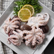[자연맛남] 태안 당일조업 활 주꾸미 1kg(암수랜덤빙장포장15미내외), 단품