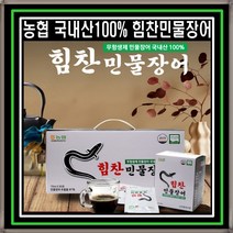 [2박스] 농협 국내산100% 힘찬민물장어 원기회복 부모님선물 활력업 총60포