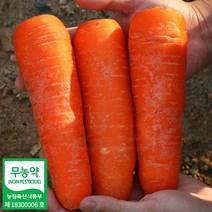 제주 구좌읍 무농약 당근 3kg 햇당근 제주당근 쥬스용당근 무농약당근, 제주 무농약 당근 상 3kg
