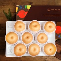 감동 [9/13일부터 순차출고]나주배 7.5kg 7-10과 가정용/상품, 단품없음