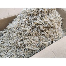 오대양물산 도매판매 남해안 햇지리멸치 1.5kg, 남해안햇지리멸치1.5kg