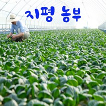 친환경팔도 충주 유기농 쌈채소, 1박스, (혼합쌈채소)1kg