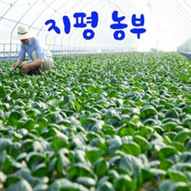 [묽맑은 양평] 지평농부 모듬쌈 & 샐러드채소, 모듬쌈1kg