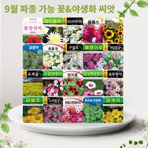 솔림텃밭몰 9월 파종 가능 꽃 야생화 씨앗 모음, 13. 겹꽃채송화 1000립