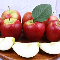 사과유명한곳 작은사과 꼬마사과 루비에스, 하우스루비에스 왕특 1kg, 1개