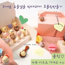 동물얼굴막대과자 초콜릿만들기세트 외7종, 6.핑크바크초콜릿키트