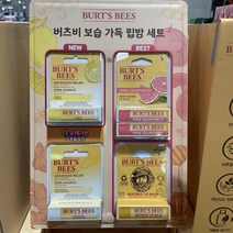 버츠비 립밤 5입 코스트코