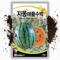 자몽 애플수박씨앗 (10립)