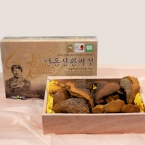 류충현 국내산 상황버섯 목질진흙 약용 버섯 어르신 명절 선물 500g, 상세페이지 참조, 상세페이지 참조, 상세페이지 참조, 상세페이지 참조, 상세페이지 참조