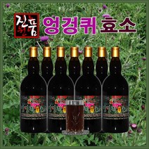 장녹원 엉겅퀴효소 1100ml, 4병