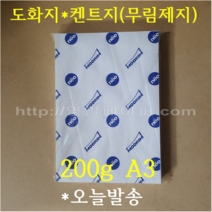 [ 학교납품전문 ] 미색도화지 200g A3 125매 / 전문가용 켄트지
