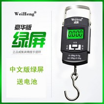 소형 휴대용 전자 저울 후크형 용수철 고저밀 손저울, 그린 A08L 50kg